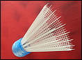 Badminton