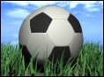 Fotbal