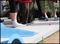 Havlovický minigolf